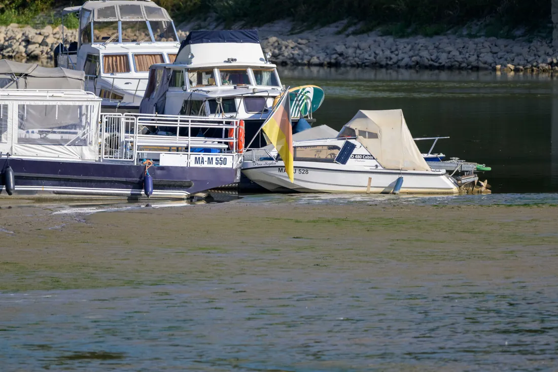 Sportboote liegen bei Niedrigwasser des Rheins im trockengefallenen Hafenbecken – Wörth am Rhein, 14. September 2026